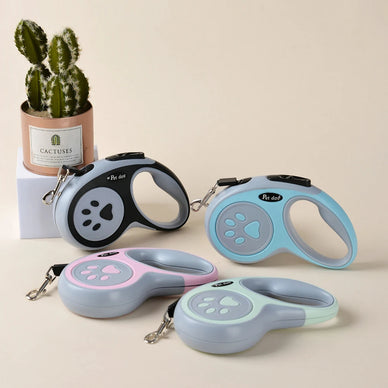 Experience Joyful Adventures with Your Furry Friend!